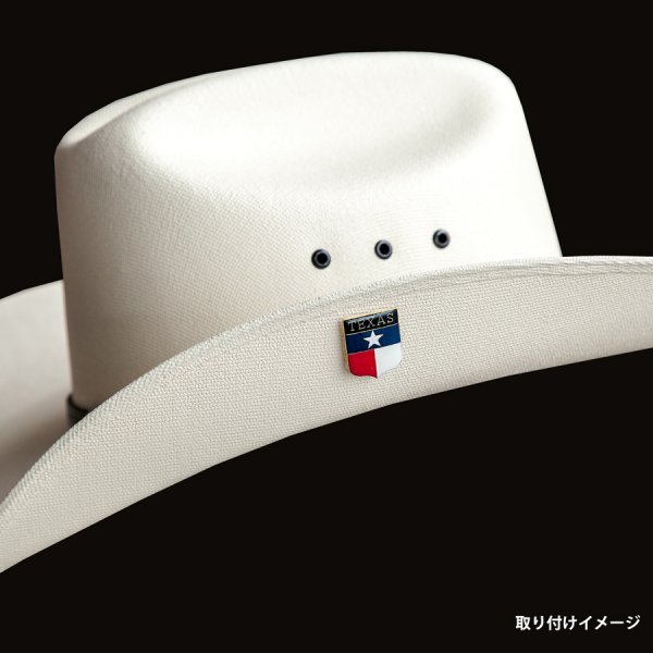 画像3: ウエスタン ハット ピン（ホースシュー&ホース シルバー）/Hat Pin