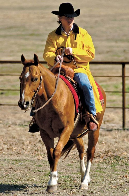 画像クリックで大きく確認できます　Click↓2: サドルスリッカー・乗馬用レインコート（イエロー）/M&F Western Products Double S Saddle Slicker(Yellow)