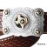 画像1: アメリカ テキサス スター ベルト バックル/Texas Stars Belt Buckle (1)